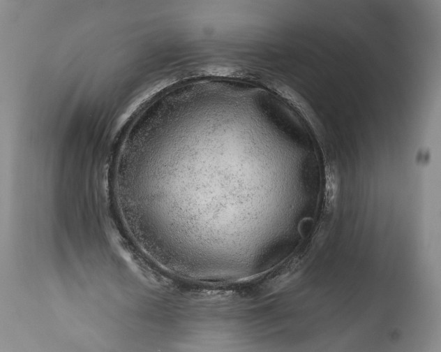 X0000113240626200909241547