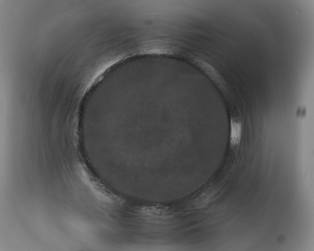 X0000113240627200909241547