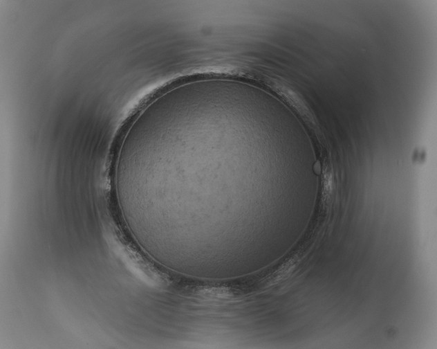 X0000113240628200909241547