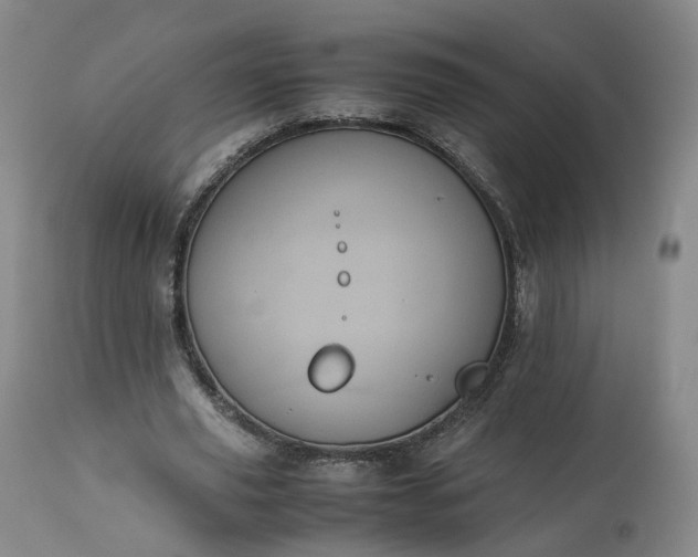 X0000113240629200909241547