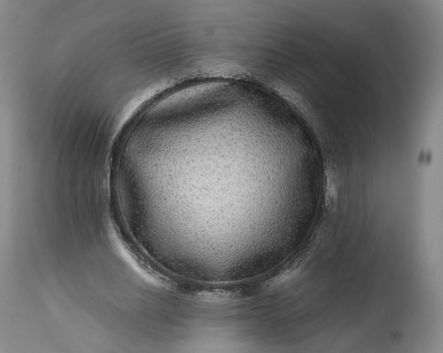 X0000113240630200909241547