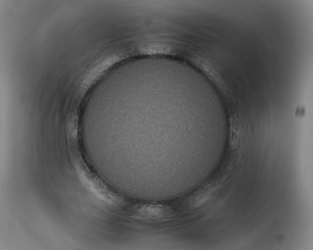 X0000113240631200909241547