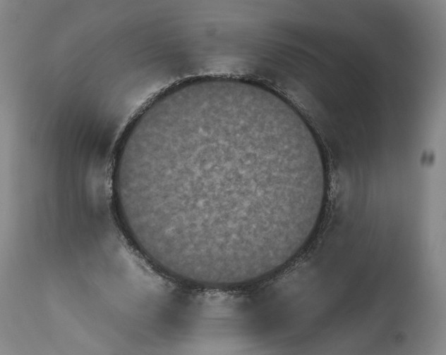 X0000113240632200909241547