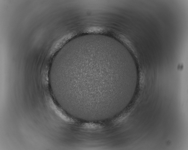 X0000113240633200909241547