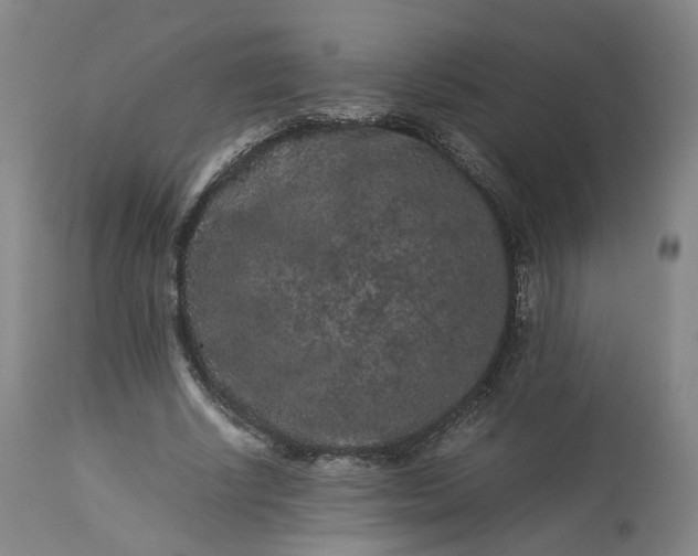 X0000113240634200909241547