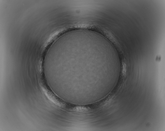 X0000113240636200909241547