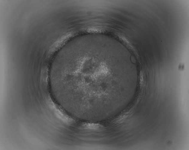 X0000113240637200909241547