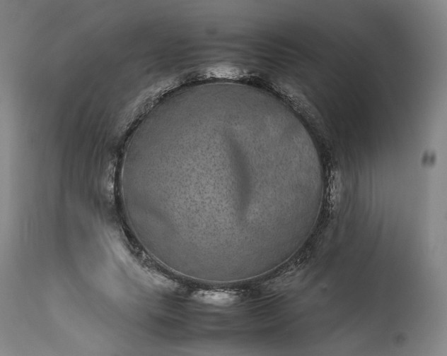 X0000113240639200909241547