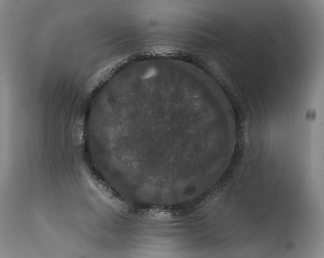 X0000113240640200909241547