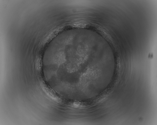 X0000113240641200909241547