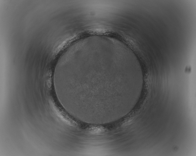 X0000113240642200909241547