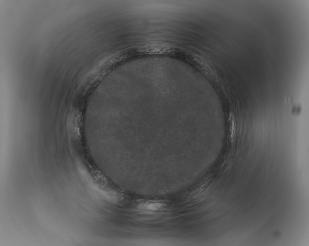 X0000113240643200909241547