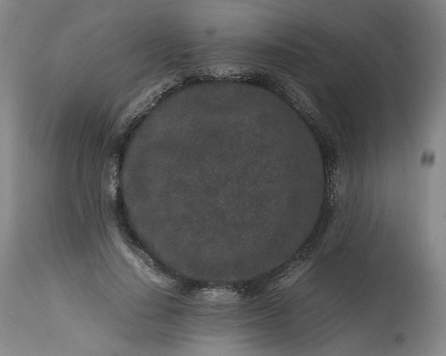 X0000113240644200909241547