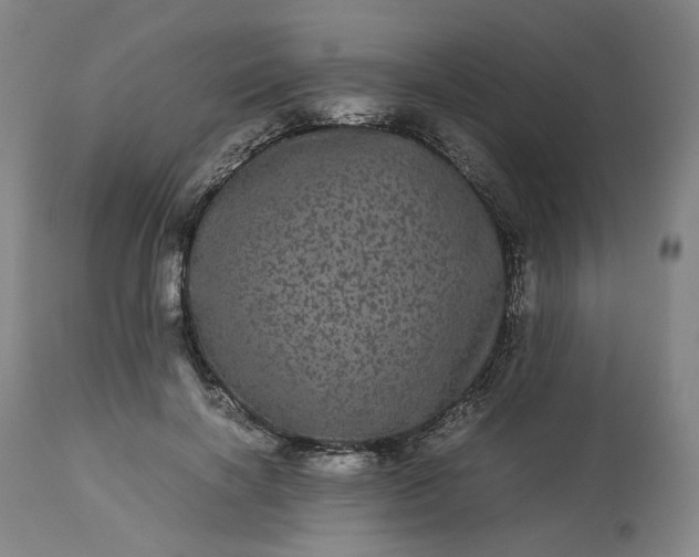 X0000113240646200909241547