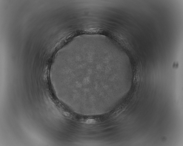 X0000113240647200909241547