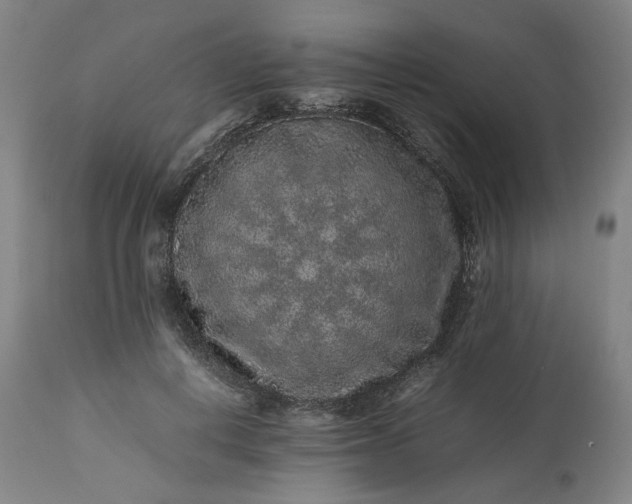 X0000113240648200909241547