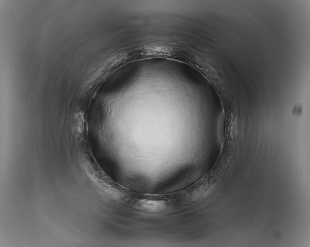 X0000113240649200909241547