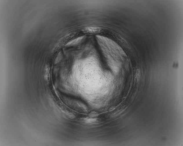 X0000113240651200909241548