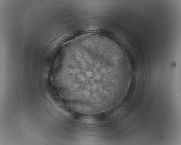 X0000113240652200909241548