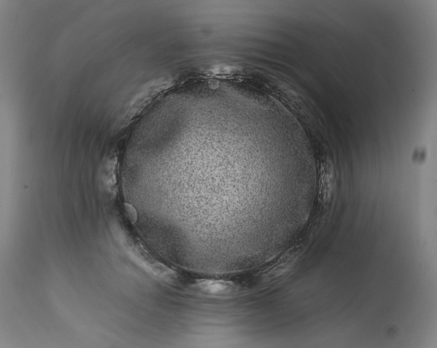 X0000113240654200909241548