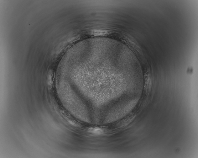 X0000113240655200909241548