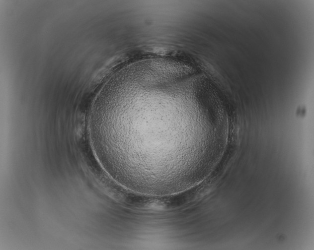 X0000113240656200909241548