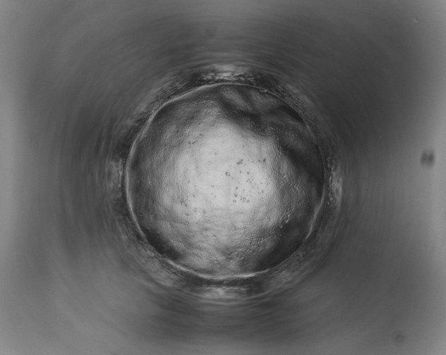 X0000113240657200909241548