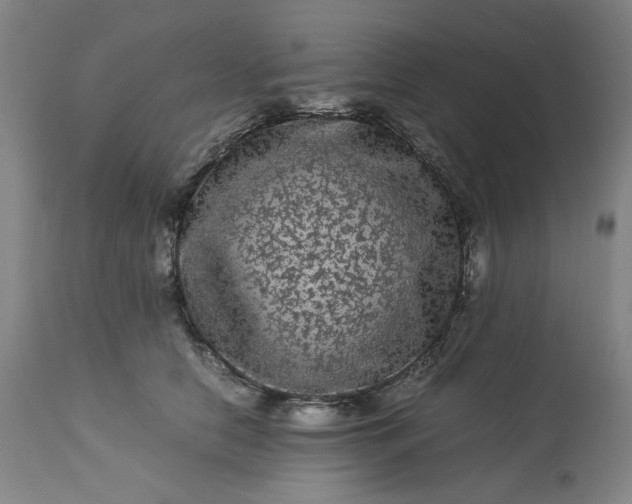 X0000113240658200909241548