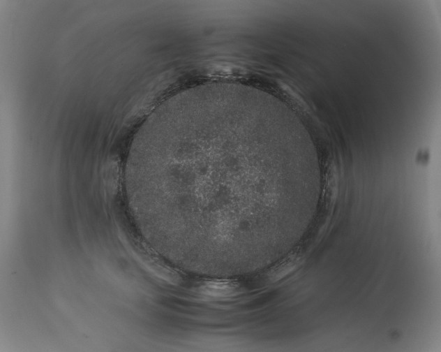 X0000113240659200909241548