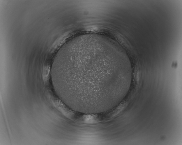 X0000113240660200909241548