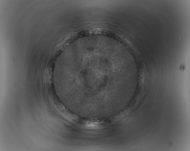 X0000113240661200909241548