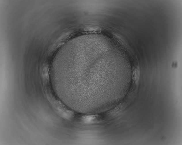 X0000113240662200909241548