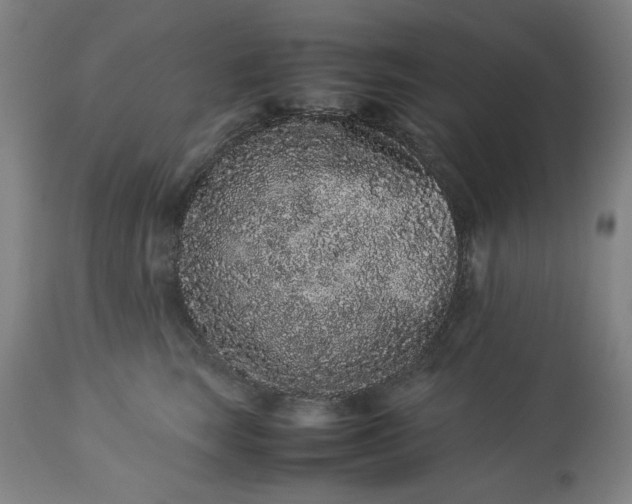 X0000113240663200909241548