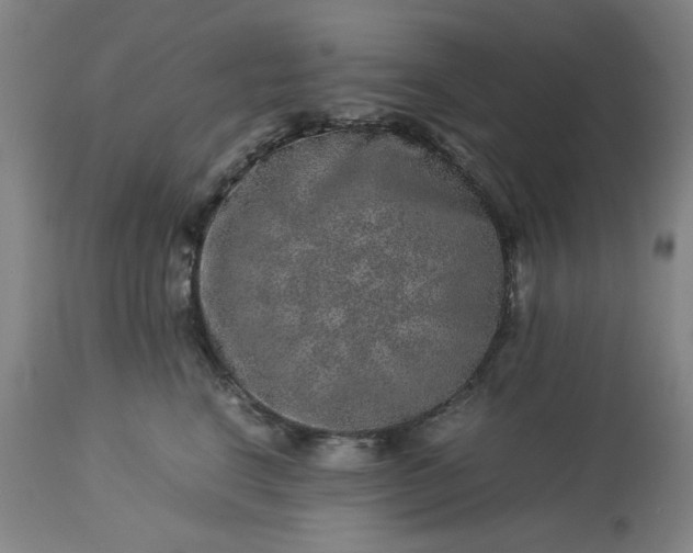 X0000113240664200909241548