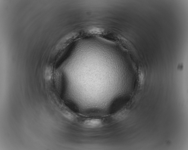 X0000113240665200909241548