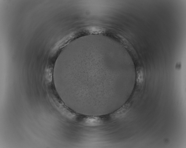 X0000113240666200909241548