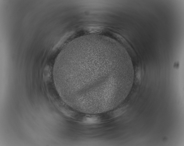 X0000113240667200909241548