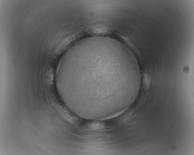 X0000113240668200909241548