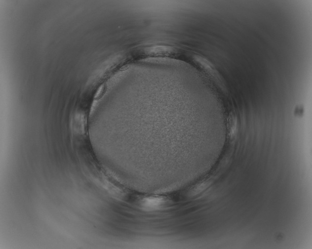 X0000113240669200909241548