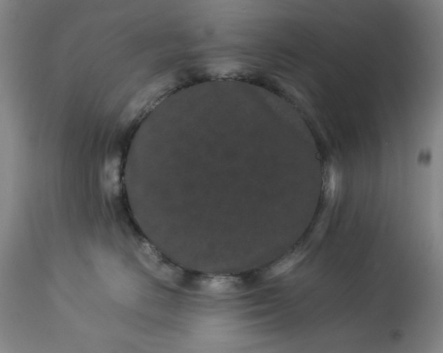 X0000113240670200909241548