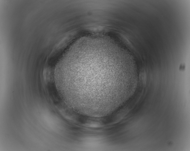 X0000113240671200909241548