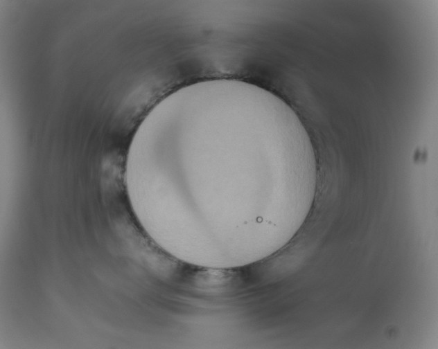 X0000113240672200909241548