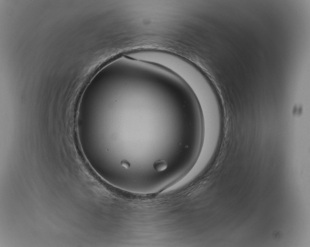 X0000113240673200909241547