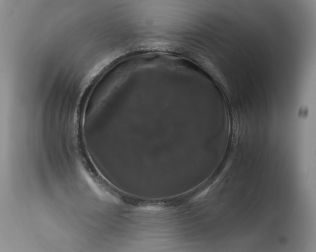 X0000113240674200909241547