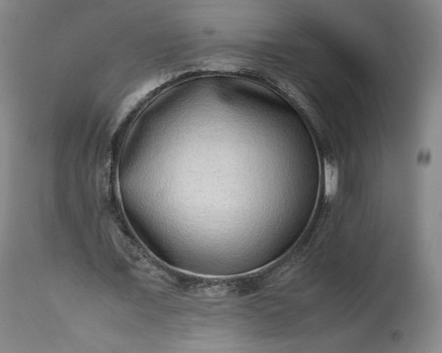 X0000113240675200909241547