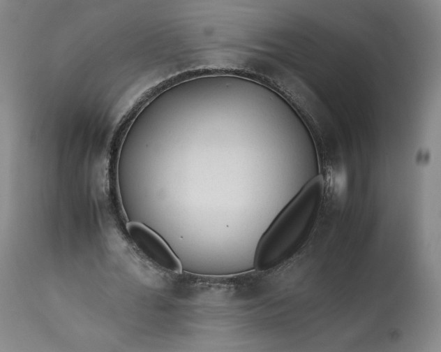 X0000113240676200909241547