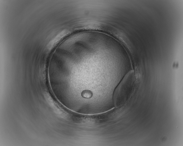 X0000113240677200909241547