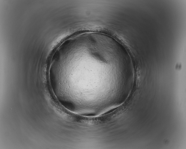 X0000113240679200909241547