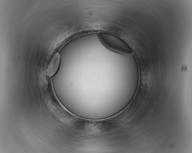 X0000113240680200909241547