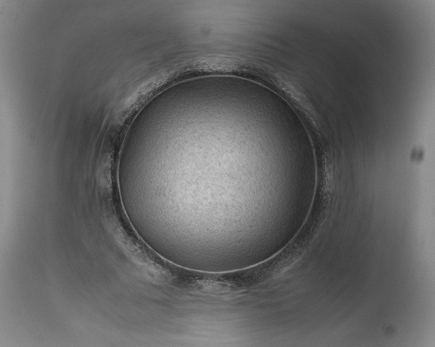 X0000113240681200909241547